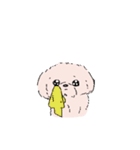 白くてかわいい犬（個別スタンプ：35）