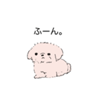 白くてかわいい犬（個別スタンプ：38）