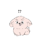 白くてかわいい犬（個別スタンプ：40）