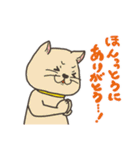 どうぶつDAYS ～ほのぼの日常～（個別スタンプ：3）