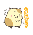 どうぶつDAYS ～ほのぼの日常～（個別スタンプ：13）