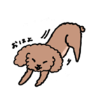 ずんずんあんず（個別スタンプ：1）