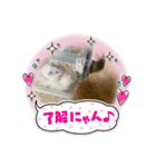 きなこともなか（個別スタンプ：2）