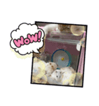 きなこともなか（個別スタンプ：3）