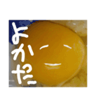 EGGな毎日、最近落ち込んでます( ´∀`)（個別スタンプ：8）