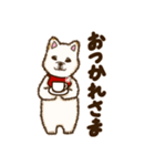 白柴犬ちびキャラスタンプ（個別スタンプ：21）