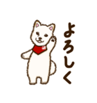 白柴犬ちびキャラスタンプ（個別スタンプ：22）