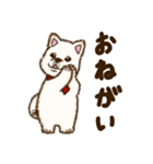 白柴犬ちびキャラスタンプ（個別スタンプ：23）