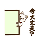 白柴犬ちびキャラスタンプ（個別スタンプ：24）