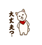 白柴犬ちびキャラスタンプ（個別スタンプ：25）