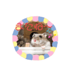うちのハムスター ごはんさん（個別スタンプ：4）