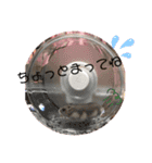 うちのハムスター ごはんさん（個別スタンプ：12）