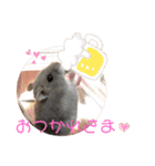 うちのハムスター ごはんさん（個別スタンプ：13）