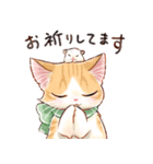 晴れるやCats−Joyful–（個別スタンプ：5）