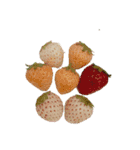 pictures  flowers  cake  bread（個別スタンプ：19）