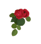 pictures  flowers  cake  bread（個別スタンプ：21）