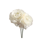 pictures  flowers  cake  bread（個別スタンプ：23）