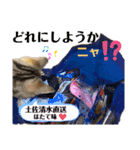 ひまにゃん11（個別スタンプ：2）