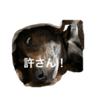 そら＆かい（個別スタンプ：7）