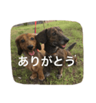 そら＆かい（個別スタンプ：8）