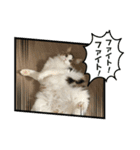凛ちゃん＊日常会話（個別スタンプ：16）