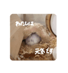 それいけ！しずちゃんスタンプ（個別スタンプ：6）