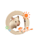 それいけ！しずちゃんスタンプ（個別スタンプ：9）