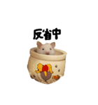 それいけ！しずちゃんスタンプ（個別スタンプ：14）