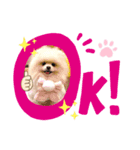飼い主によるしじみのスタンプ（個別スタンプ：3）