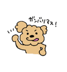 ふくたろうスタンプ3（個別スタンプ：38）