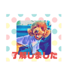 16.むぎ（個別スタンプ：3）