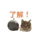 とむとべるのスタンプ（個別スタンプ：2）