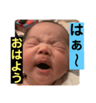 ふうちゃんスタタンプ⑤（個別スタンプ：1）