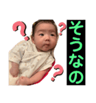 ふうちゃんスタタンプ⑤（個別スタンプ：4）