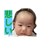 ふうちゃんスタタンプ⑤（個別スタンプ：6）