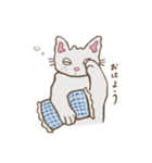 ねこすけ！（個別スタンプ：28）