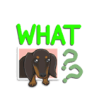 ミニチュアダックスフンド<可愛い犬の日常>（個別スタンプ：2）