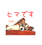 パピヨン【choco一家】（個別スタンプ：10）