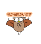 フクロウでぇす。I am owl.（個別スタンプ：16）