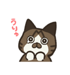 い〜っぱい！ちゃーちゃんです！（個別スタンプ：8）