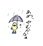 チチチ（個別スタンプ：12）