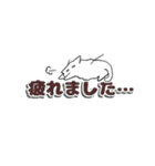 シャイな白ネコ(敬語ver.)（個別スタンプ：30）