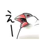 うっかり鳥沼にはまってしまいました（個別スタンプ：5）