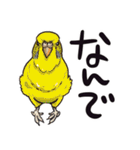 うっかり鳥沼にはまってしまいました（個別スタンプ：10）