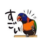 うっかり鳥沼にはまってしまいました（個別スタンプ：23）