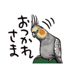 うっかり鳥沼にはまってしまいました（個別スタンプ：30）