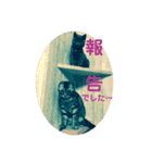 犬猫三昧（個別スタンプ：19）