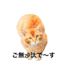 犬猫三昧（個別スタンプ：30）