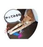心の友ネコ「にゃかの先生」第3段（個別スタンプ：7）