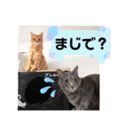 心の友ネコ「にゃかの先生」第3段（個別スタンプ：8）